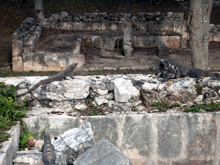 0704 uxmal 10.jpg - DCF 1.0